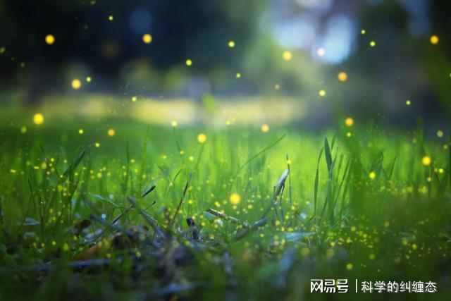 星之声结局_星之声_星之声佐菲