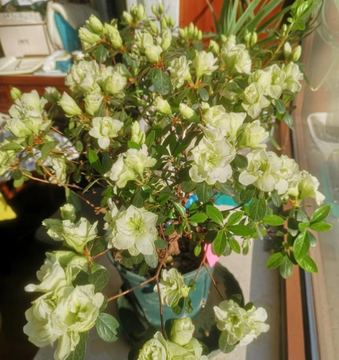 中国建设银行上班时间揭秘，老客户的故事与感受