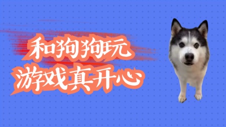 适合狗狗玩的手机游戏-专为狗狗设计的超级好玩的手游推荐，让你