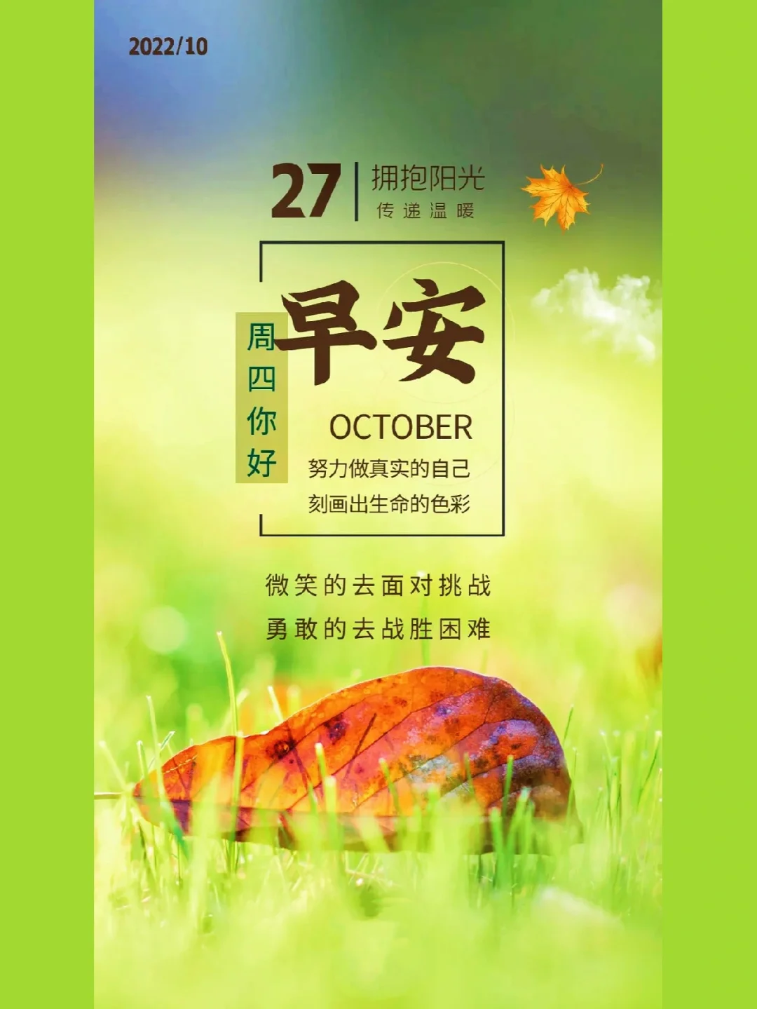 月年2023年_2023年3月15日_哈尼十月年