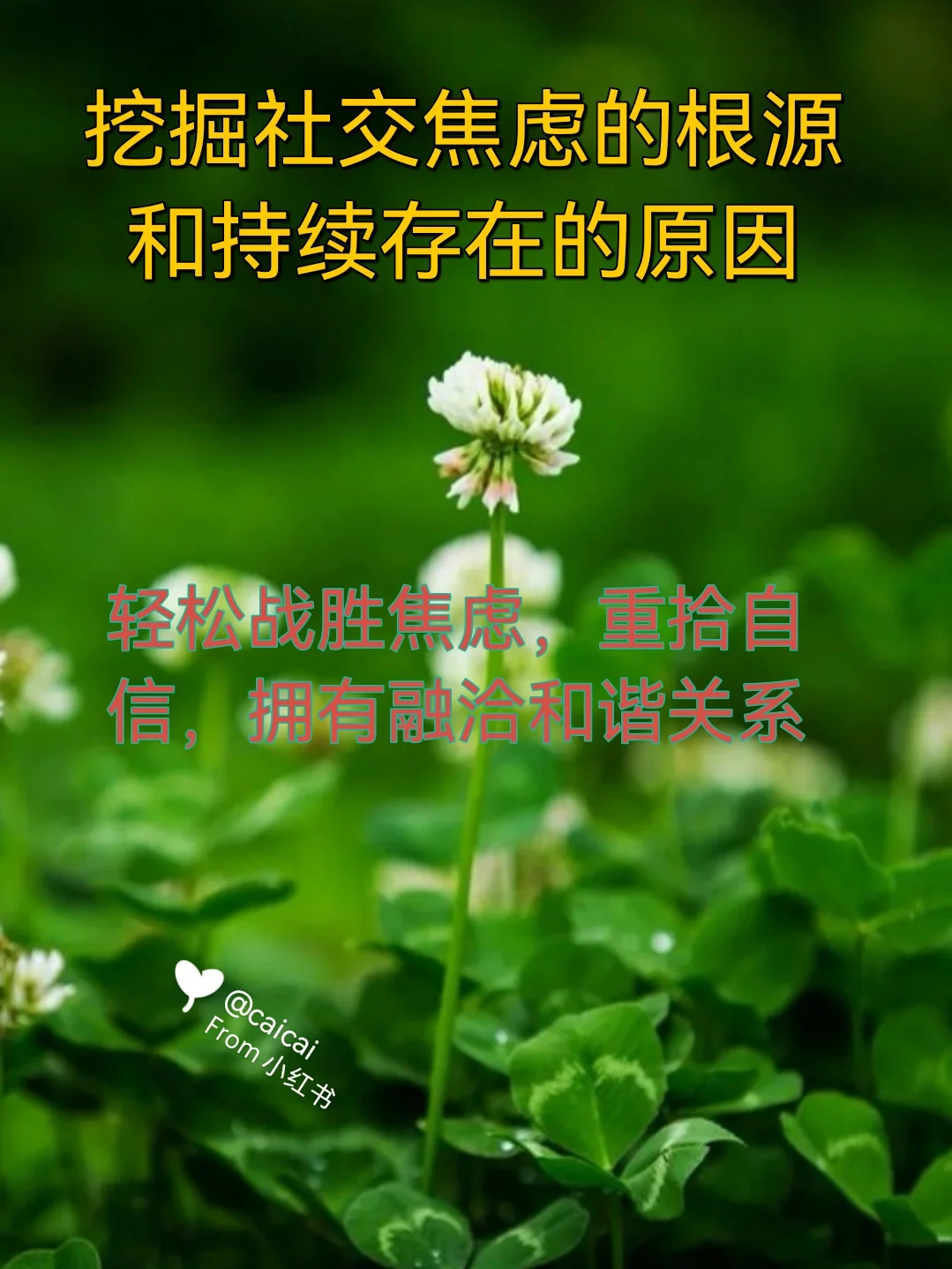 碰焊_别碰我_别碰我
