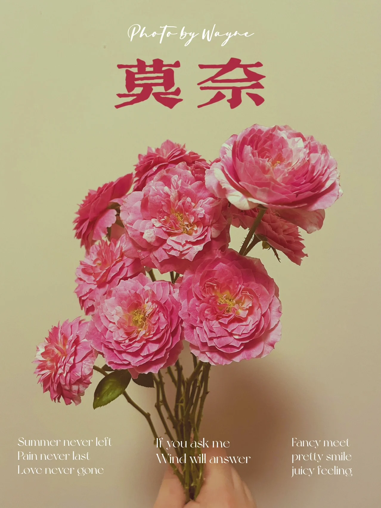 迦勒底人是谁的后裔_迦勒底人_迦勒底人的五个祸