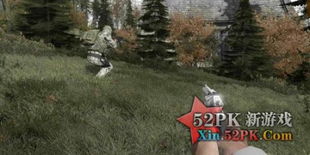 dayz是什么游戏,什么是DayZ？