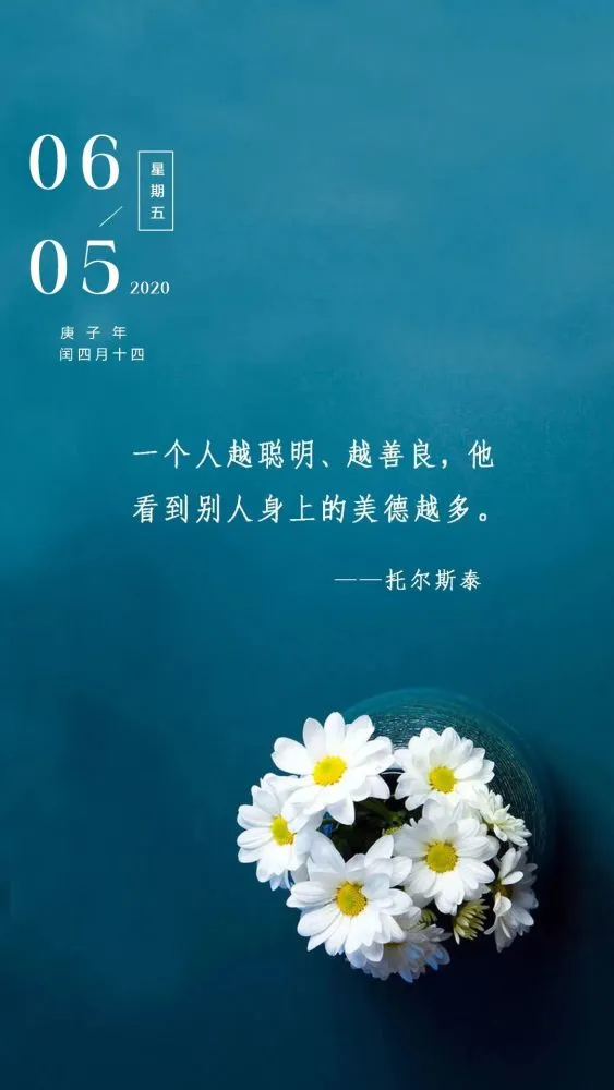原神束缚九条娑罗_九条娑罗_九条娑罗
