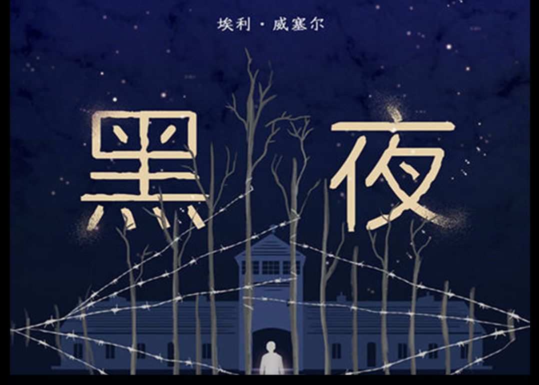 夜盗火蜥厉害不_夜盗火蜥_盗夜火蜥几级进化