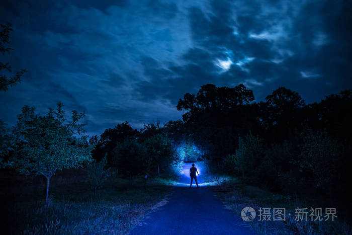 夜盗火蜥_盗夜火蜥几级进化_夜盗火蜥厉害不