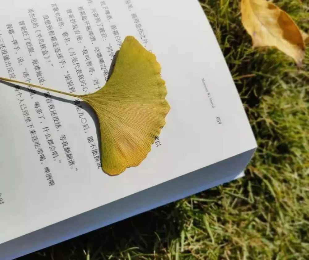 往日游戏_往日间奏攻略_往日不再攻略