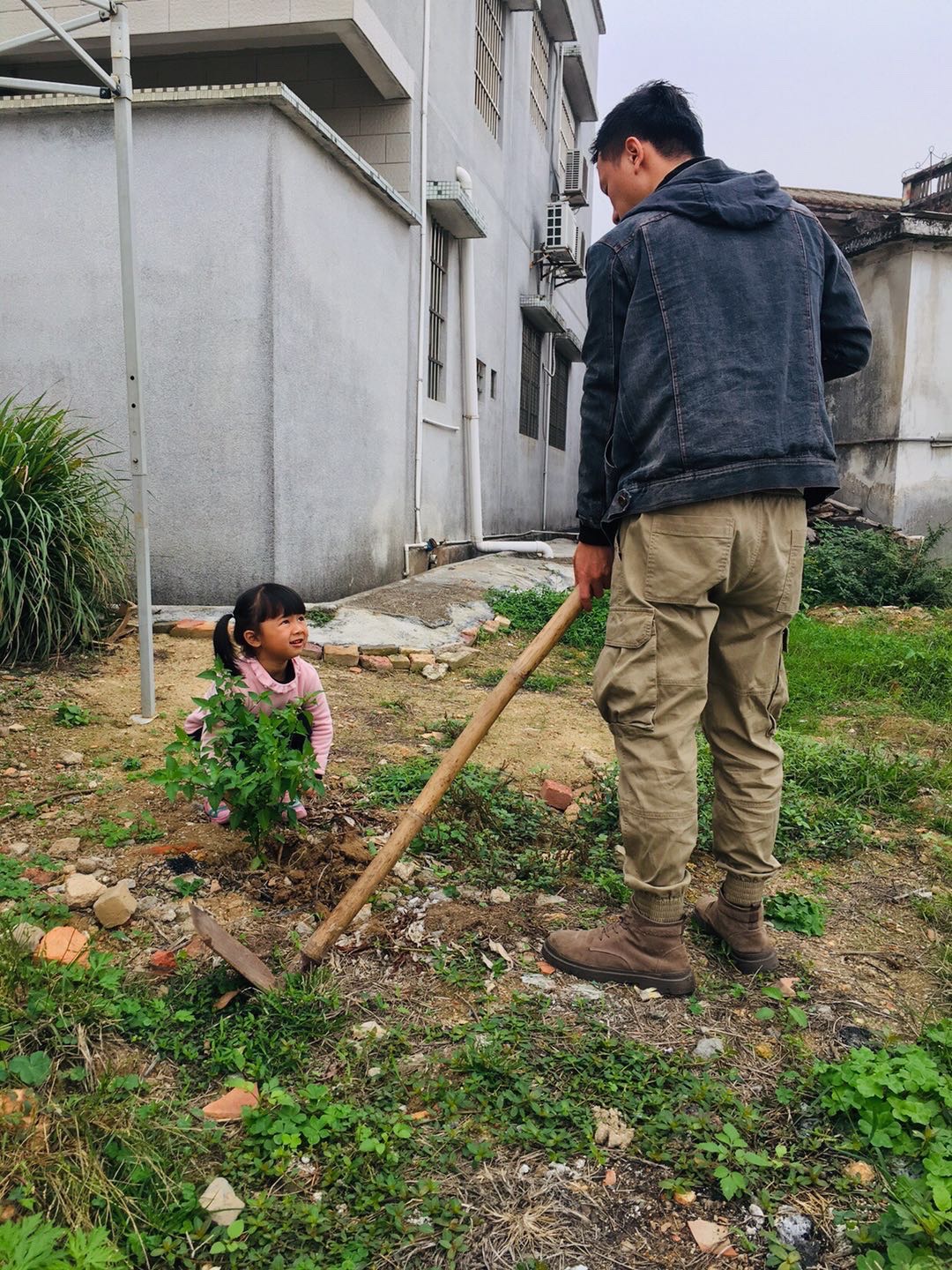 迷你世界种树苗_迷你世界种植树木_迷你世界怎么种树