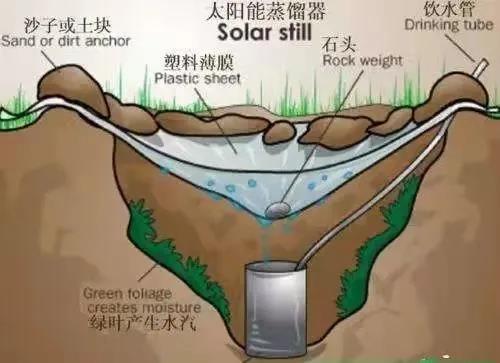 生存战争中文版2_生存中文战争版本下载_生存中文战争版本大全