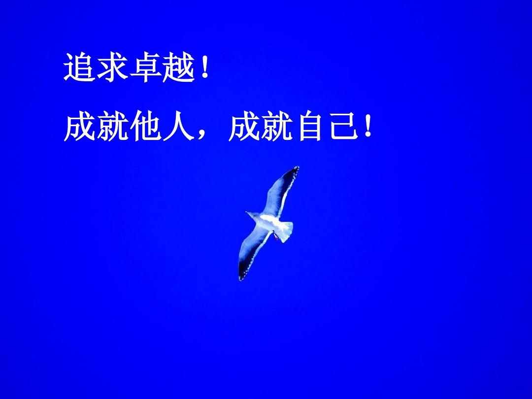 本格派_本格派推理小说推荐_派格森集成吊顶是几线品牌