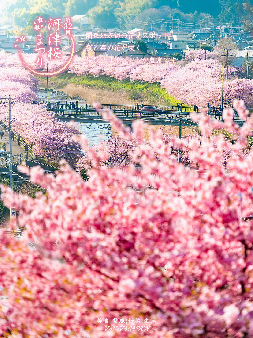 樱花镇_樱花镇是哪里的_樱花镇董改正