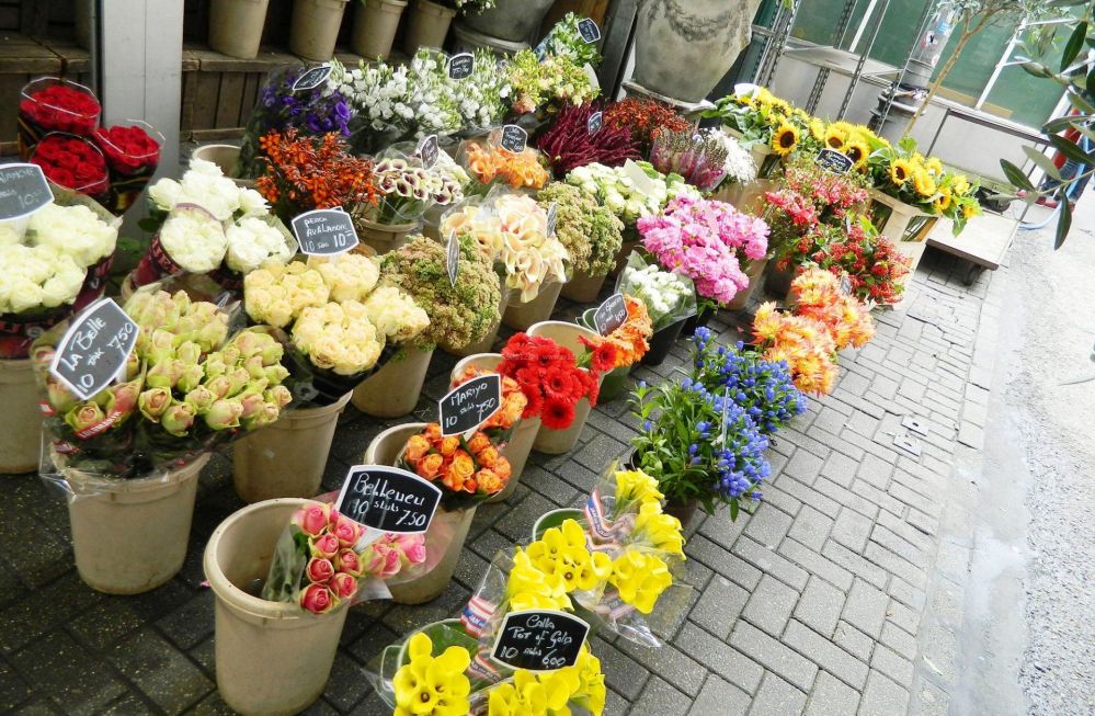 花店物语_花店物语任务攻略_花店物语种什么花