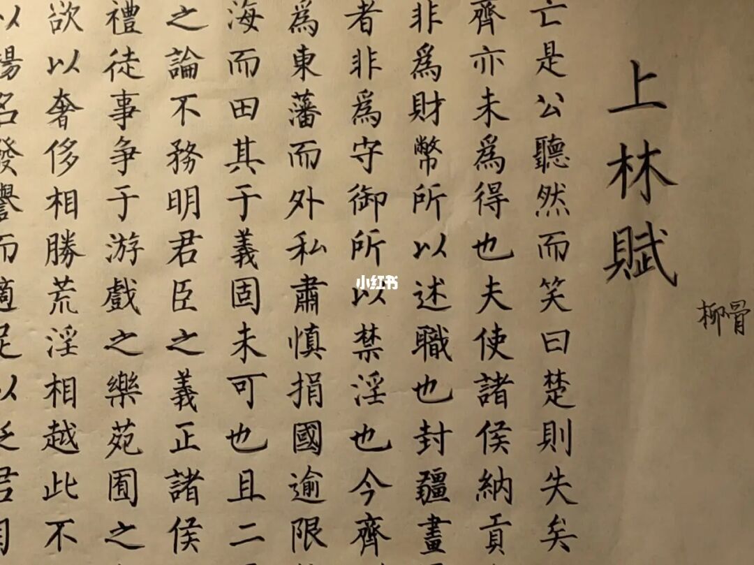 男友为我抄上林赋说明什么_男友为我抄上林赋说明什么_男友为我抄上林赋说明什么
