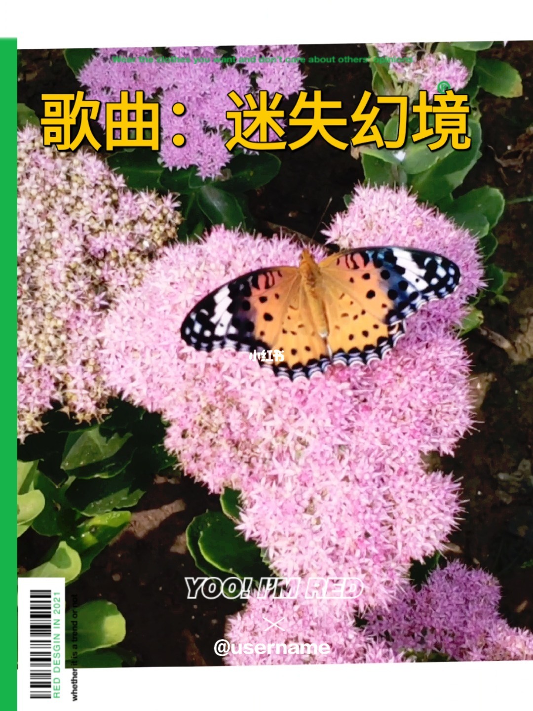 哗啦哗啦_哗啦哗啦_哗啦哗啦