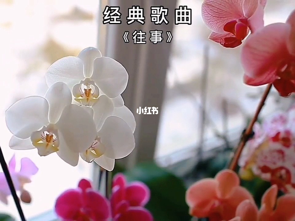 哗啦哗啦_哗啦哗啦_哗啦哗啦