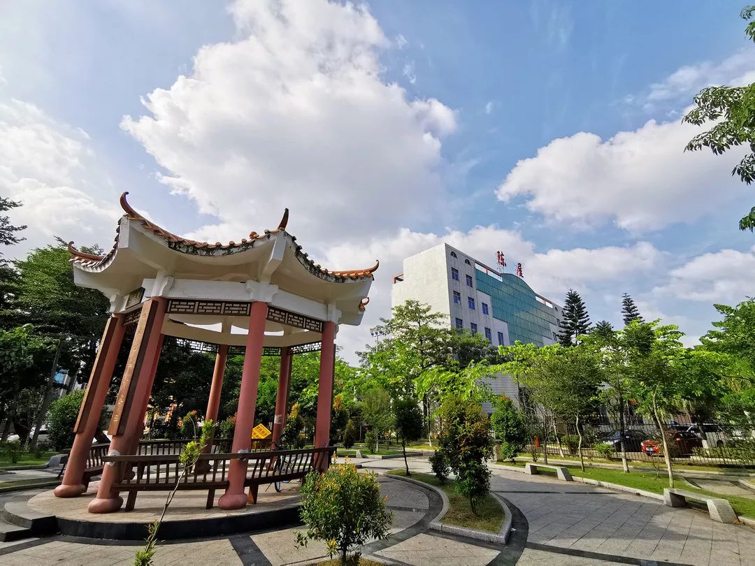 莱文市_莱文市_莱文市