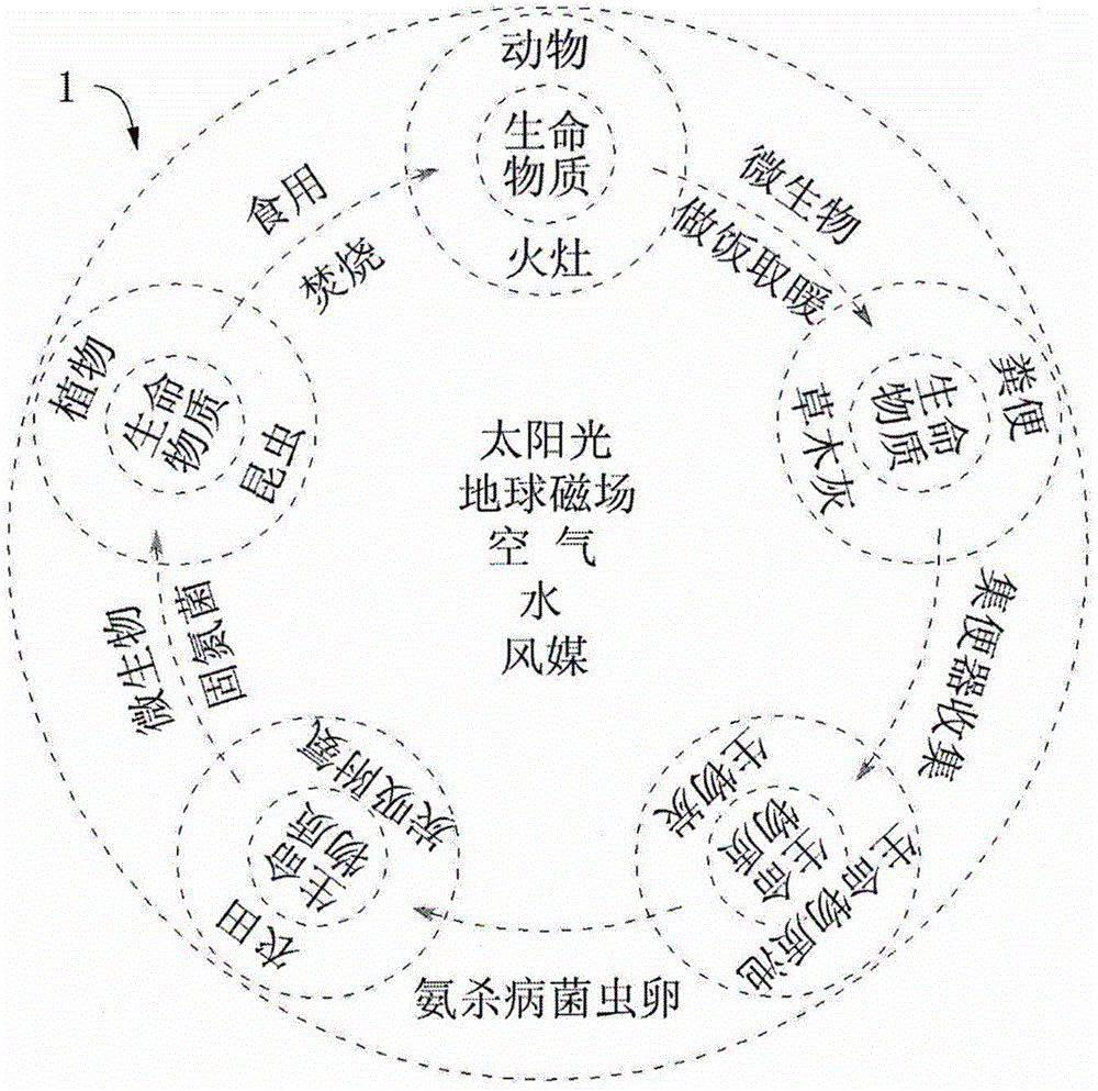 死亡循环_爱死机循环死亡_日本电影循环死亡