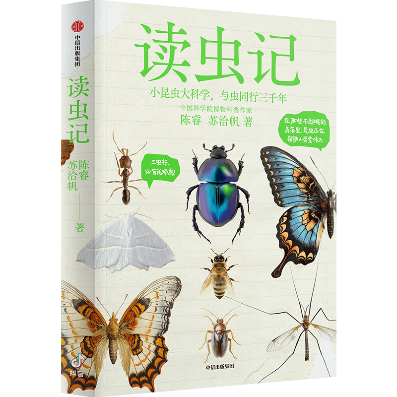 虫虫吉他网_虫虫网_虫虫网下载