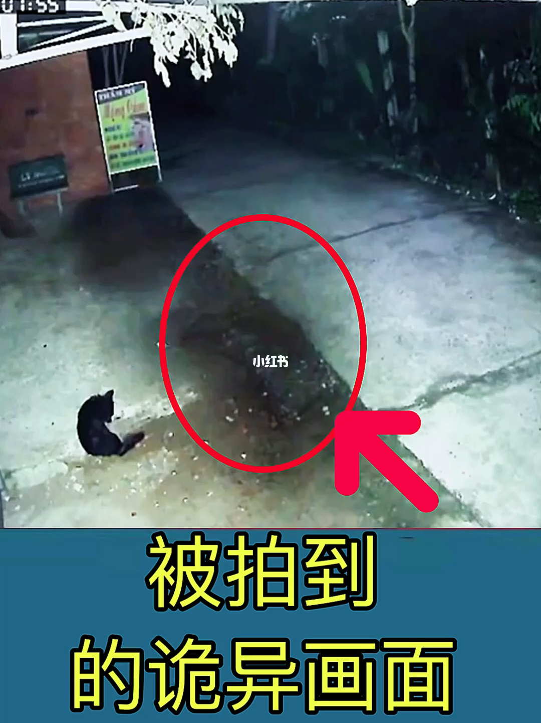 无赖图片表情_无赖图片说说心情_无赖图片