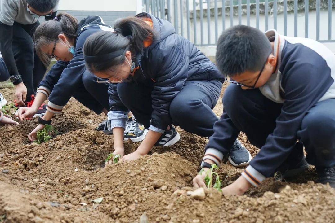 薛素素_薛素素和顺秀玉是真实的吗_薛素素顺秀玉