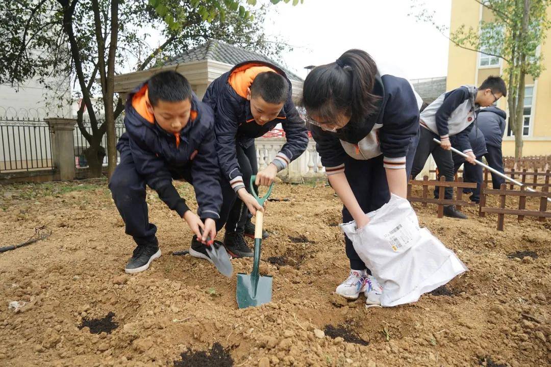 薛素素顺秀玉_薛素素_薛素素和顺秀玉是真实的吗