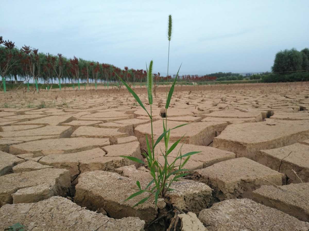 抢夺土地承包经营权_抢夺土地英文_土地抢夺者