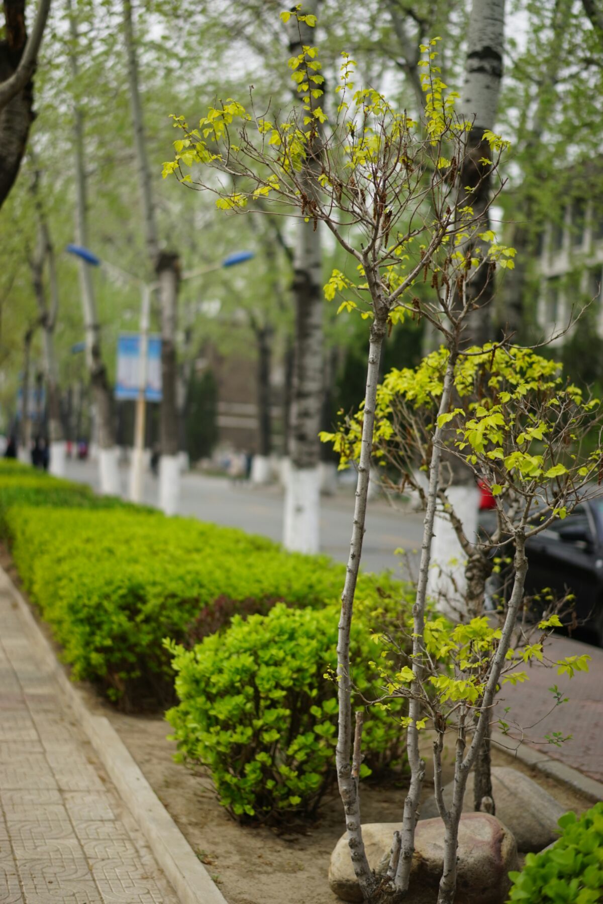 都市激情校园春色亚洲_都市激情校园春色亚洲_都市激情校园春色亚洲