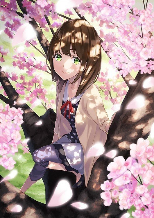 樱花漫画下载方法_樱花漫画下载正版_樱花漫画下载app