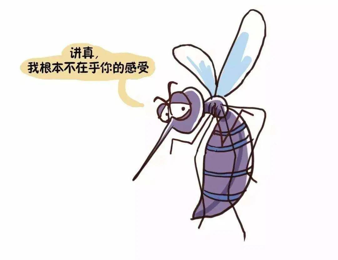 蚊式止血钳_蚊式_蚊式轰炸机