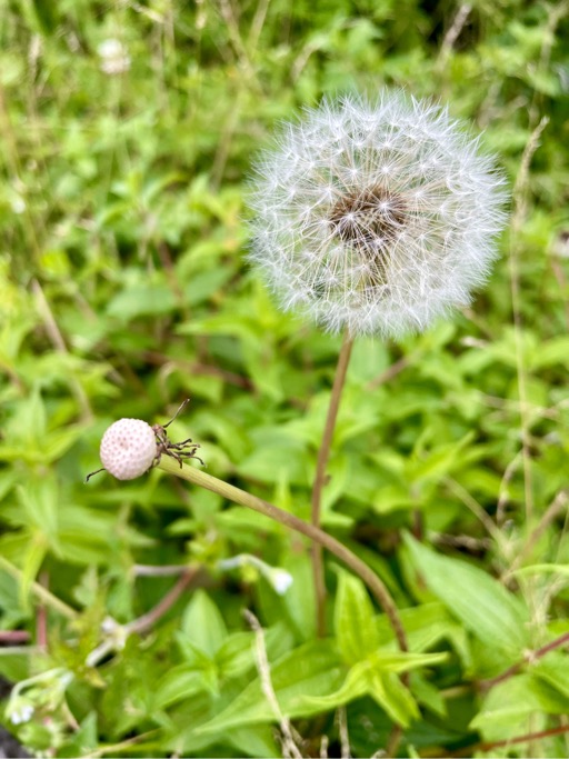 畅听_听畅卡_听畅听网