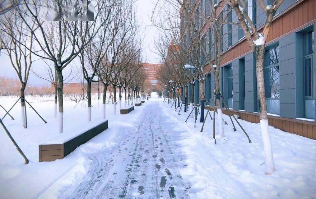 融雪撒布机_融雪剂_融雪