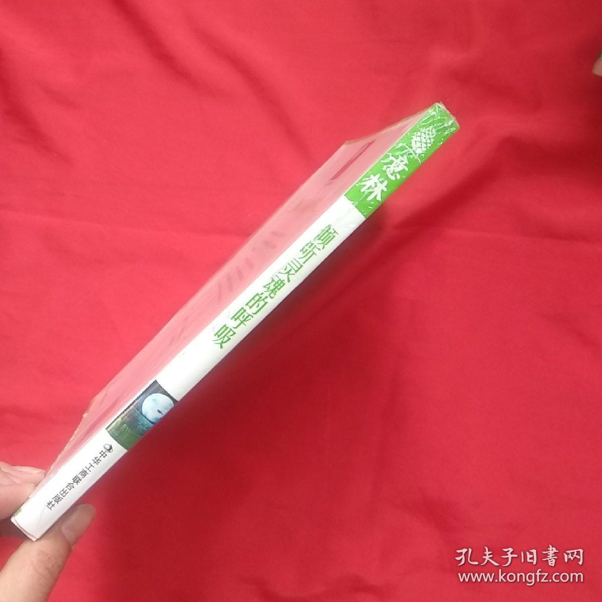 灵魂粘合剂有多难刷_灵魂粘合剂几点刷_灵魂粘合剂怎么获得