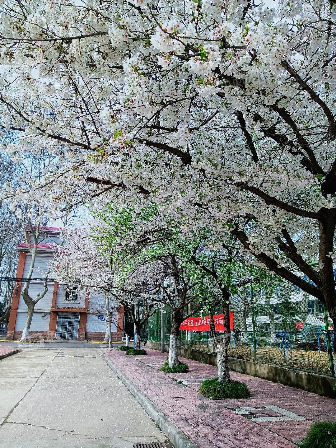段坤_扫毒段坤_尖沙咀段坤