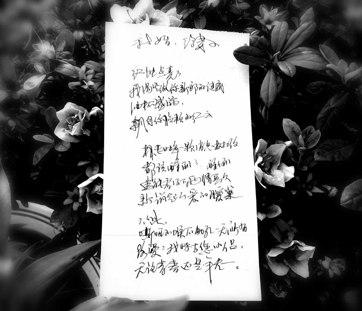 水蜜桃爱如潮水带你飞_爱如潮水带你飞水蜜桃app_水蜜桃爱如潮水飞飞飞
