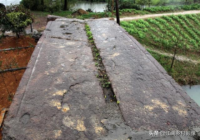 集结季神庙的桥前_集结季神庙旁的先祖_集结季第五个任务神庙前的桥