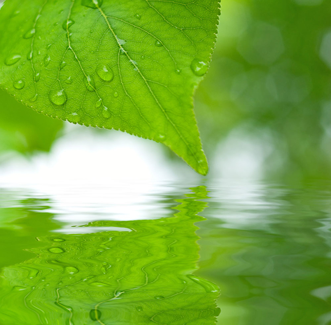 水月池_水月池_水月池