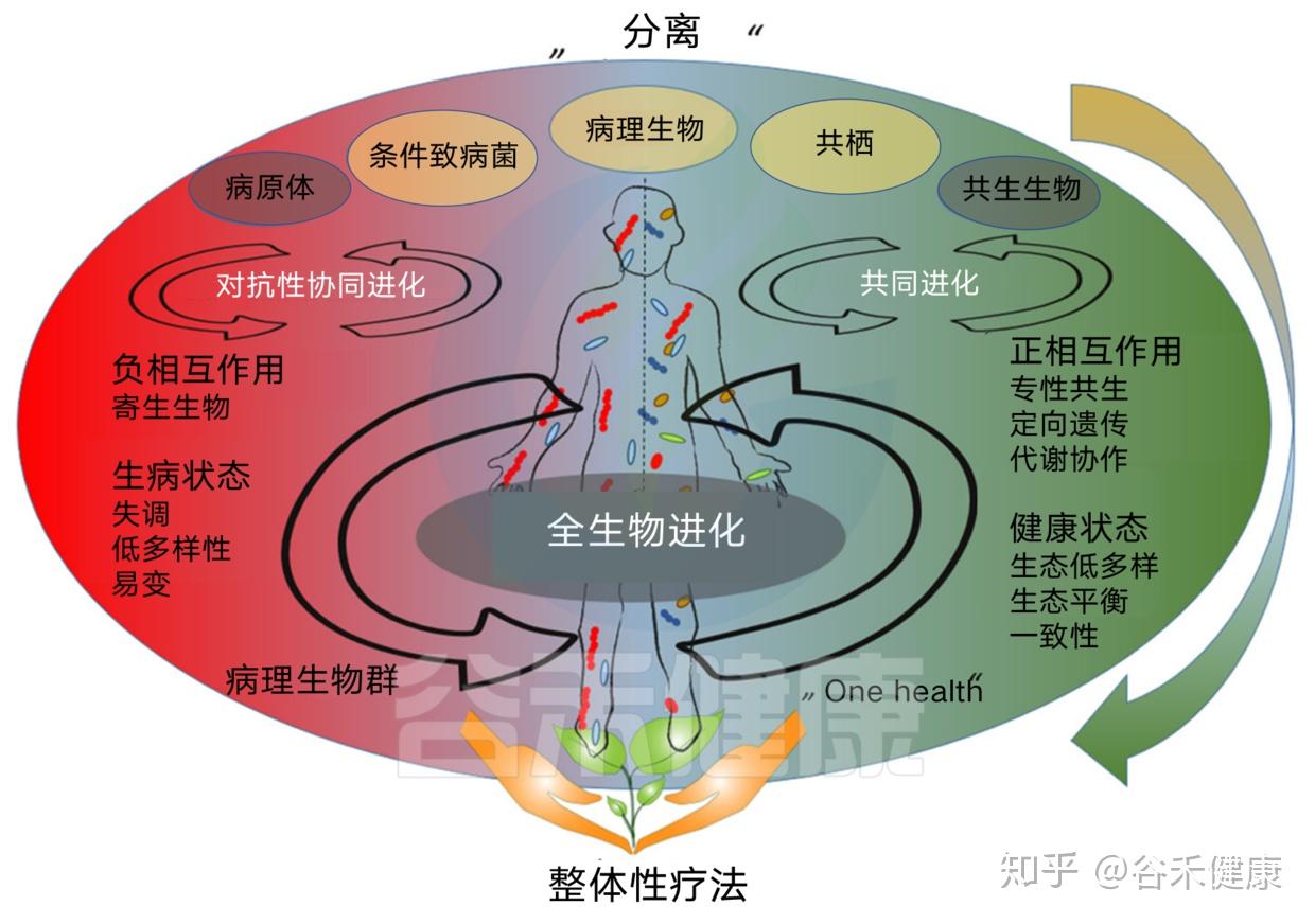 手机版发育游戏_发育版手机游戏大全_发育类的游戏