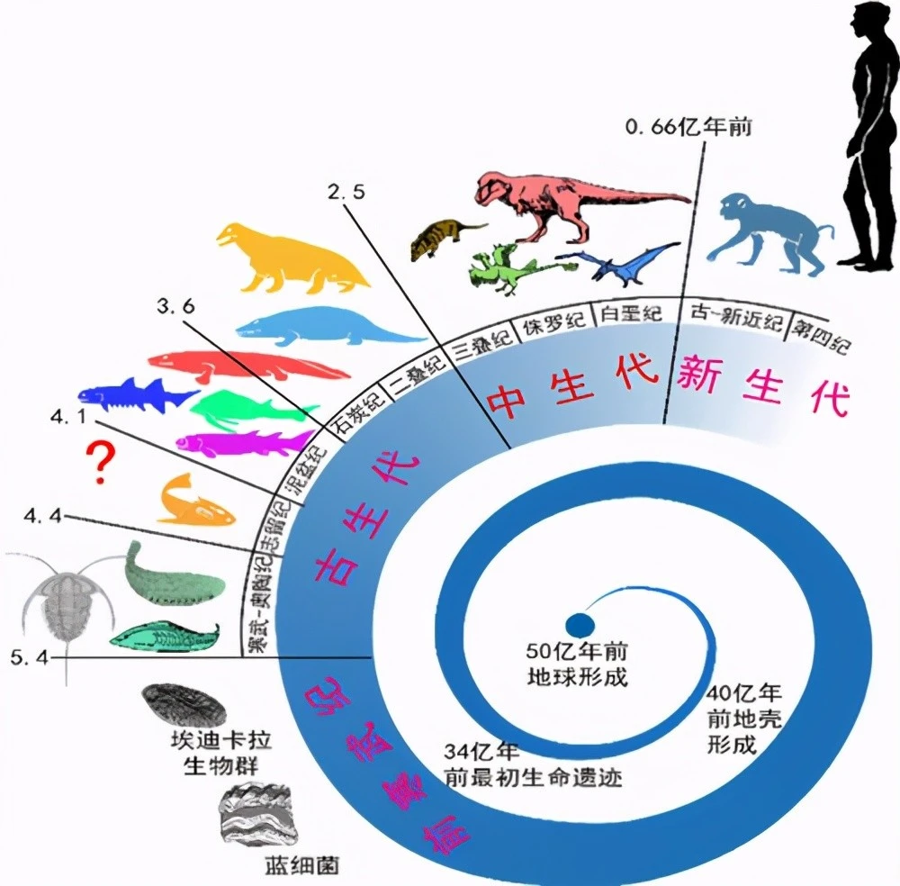 发育版手机游戏大全_手机版发育游戏_发育类的游戏