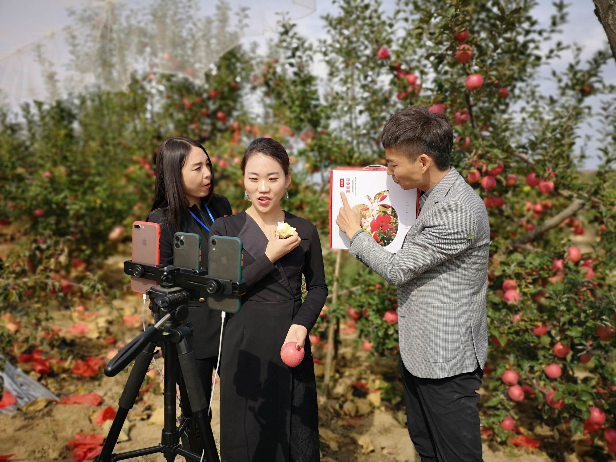 直播苹果手机游戏怎么玩_苹果手机游戏直播软件_苹果如何直播手机游戏