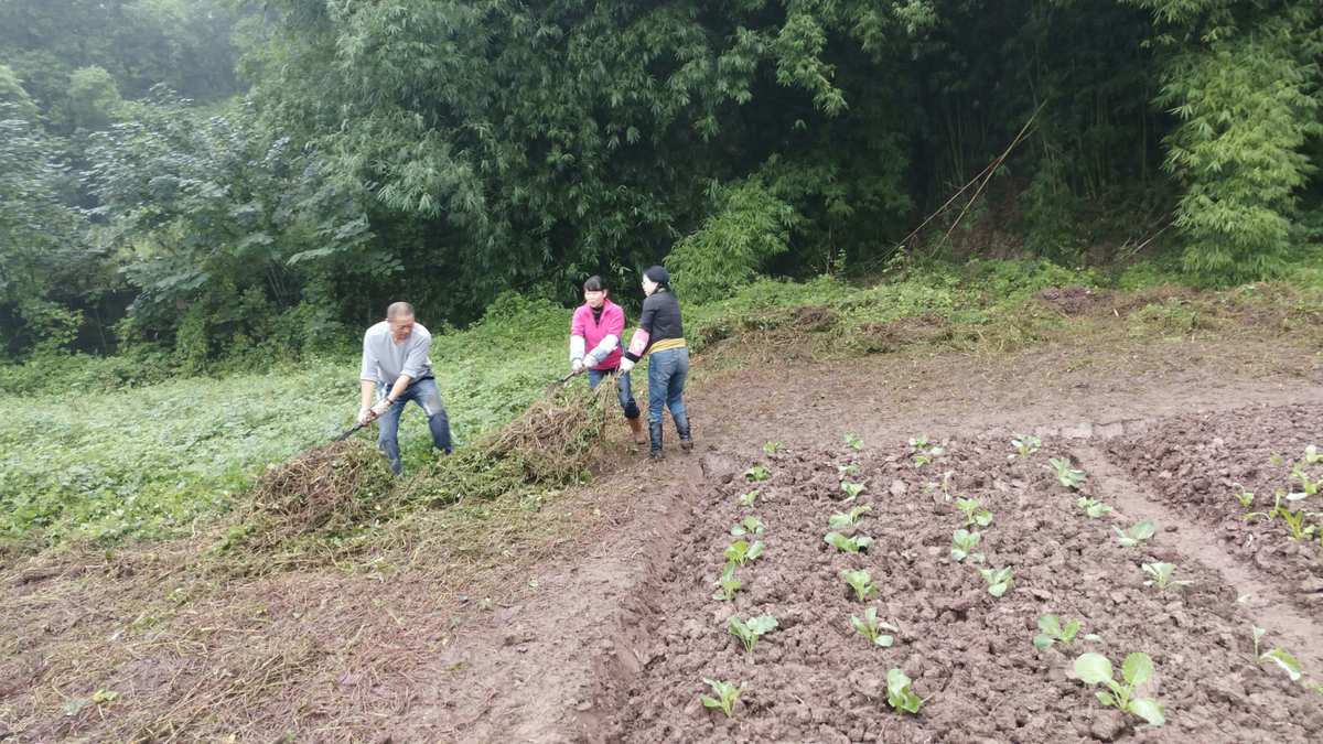 手机版种田打仗游戏_打仗种田版手机游戏大全_种田打仗的游戏