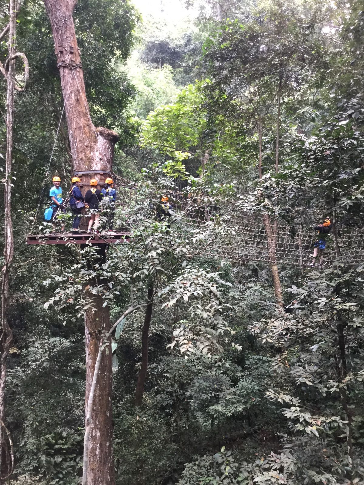 森林视频_森林游戏手机版下载视频_森林风景视频下载