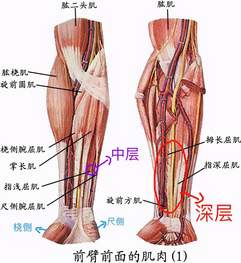 手机打游戏手腕痛什么原因_打手游打的手腕疼_手腕打游戏疼