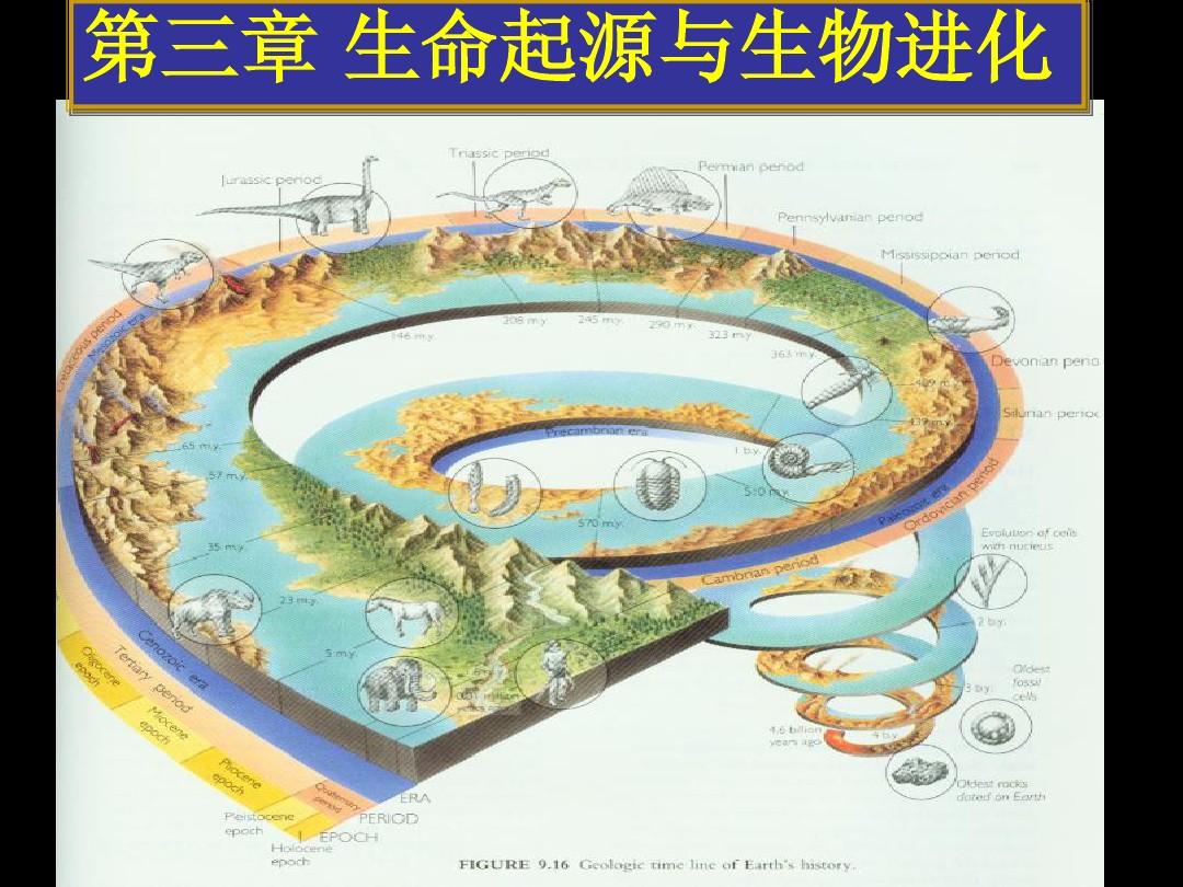 生命版手机游戏大全_生命游戏安卓golly_手机版生命游戏