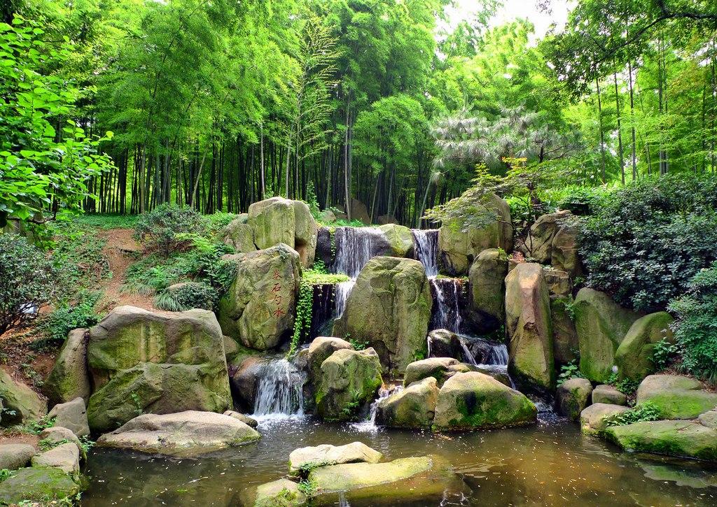 涂山苏苏_涂山苏苏_涂山苏苏