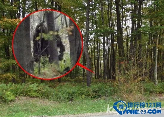 天水围的日与夜_天水围的日与夜结局_天水围的日与夜是什么意思