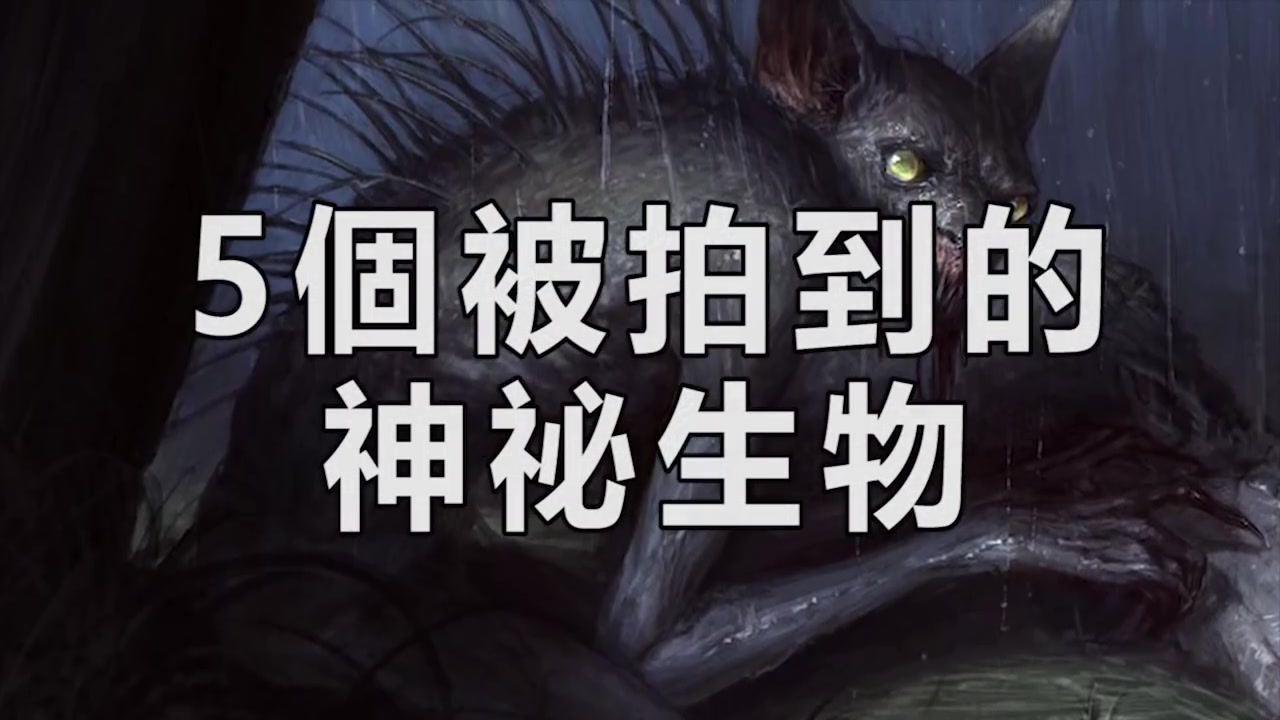 天水围的日与夜_天水围的日与夜是什么意思_天水围的日与夜结局