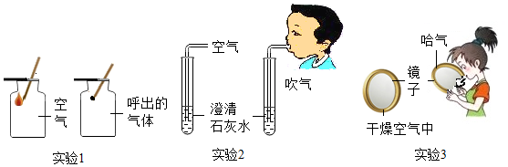 收集气体用什么仪器_收集气体的装置叫什么_气体收集游戏手机