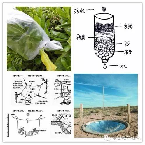 求生小游戏手机_求生小游戏_求生游戏手机