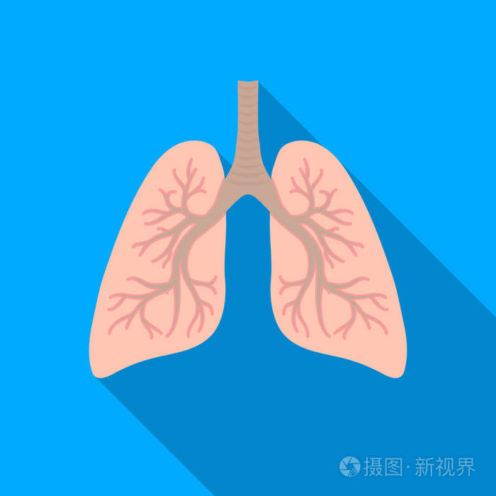 ie浏览器官网_狐猴浏览器官网_opera浏览器官网