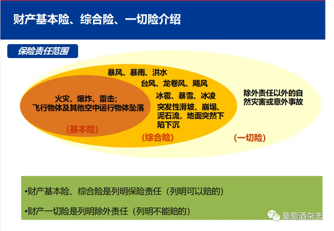 有泽龙贵的能力_有泽龙贵喜欢一护吗_有泽龙贵